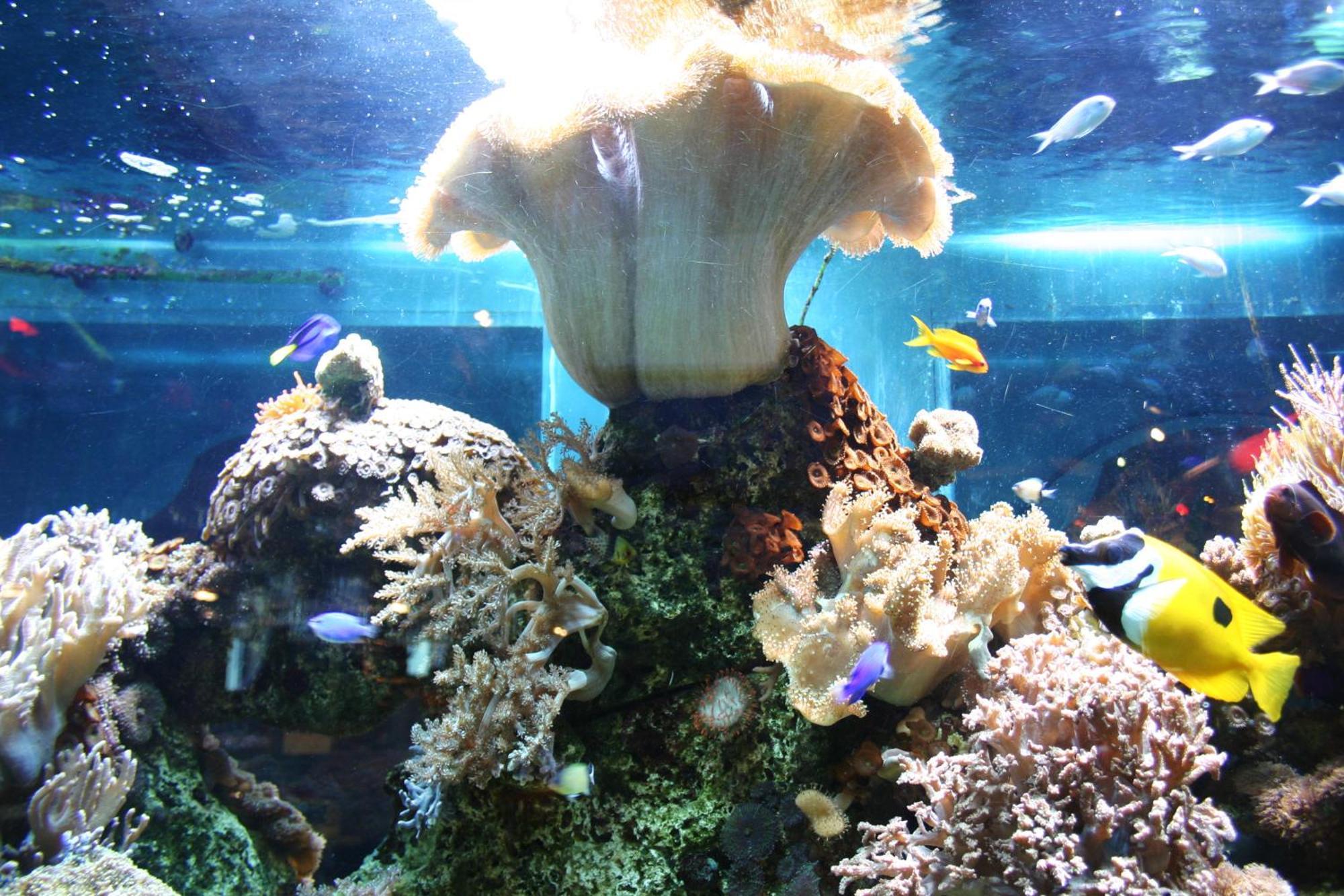 Hotel Nautilus Putbus Dış mekan fotoğraf